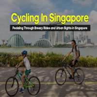Best cycling routes in Singapore